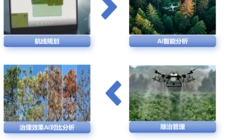 中科星图