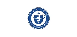 中科星图